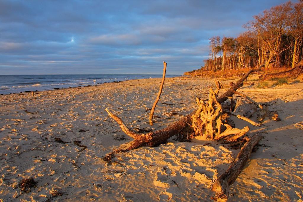 Strandhotel Duenenmeer - Adults Only Dierhagen Zewnętrze zdjęcie
