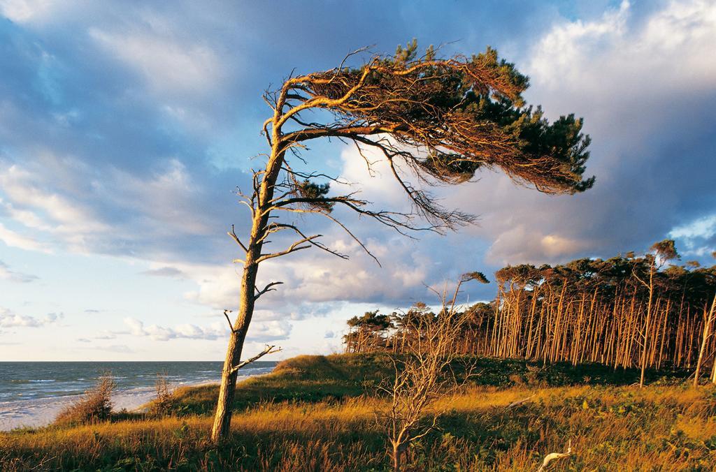 Strandhotel Duenenmeer - Adults Only Dierhagen Zewnętrze zdjęcie