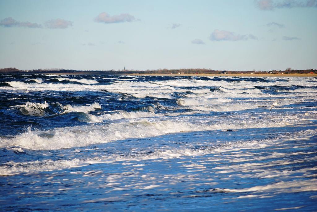 Strandhotel Duenenmeer - Adults Only Dierhagen Zewnętrze zdjęcie