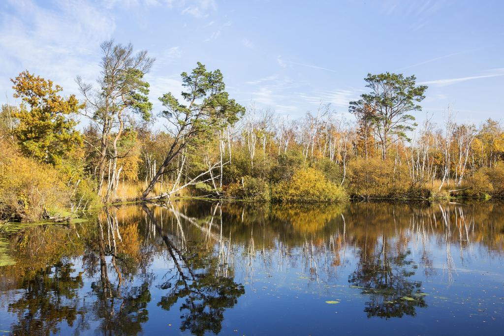 Strandhotel Duenenmeer - Adults Only Dierhagen Zewnętrze zdjęcie